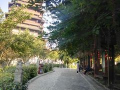 -西安汉城湖景区