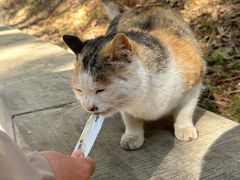 -四门塔风景区