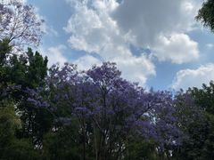 -攀枝花公园