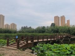 -前关湿地公园
