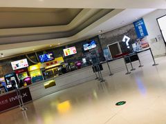-金逸影城(大悦城IMAX激光店)