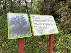 -玉渡山自然风景区