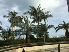 -凤凰岛度假酒店-海鲜自助餐厅