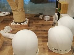 -袖虎·猫馆(体育西路店)