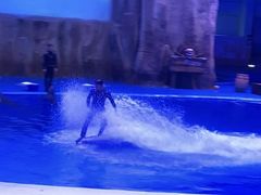 -华夏文旅海洋公园