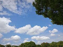 -上海吴淞炮台湾国家湿地公园