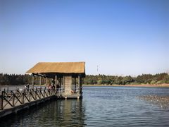 -溱湖国家湿地公园