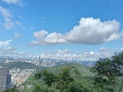 -深圳仙湖植物园