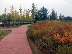 -洨河生态公园