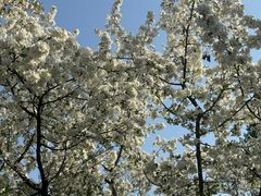 -泰山风景名胜区-普照寺