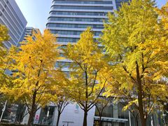 -上海不夜城广场(上海不夜城金融大厦店)