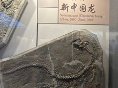 -贵州省地质博物馆