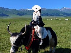 -新疆那拉提国家旅游度假区