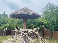 -上海野生动物园