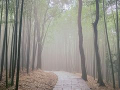-西湖风景区十里琅珰-五云山
