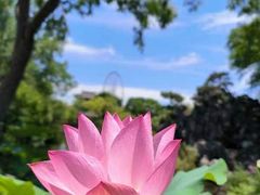 -无锡蠡湖国家湿地公园-蠡园