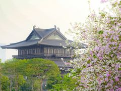 -海珠湖公园