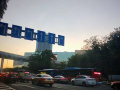 -合肥滨湖国家森林公园