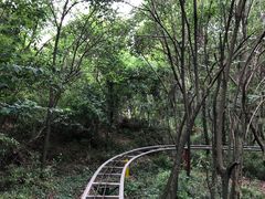 -白马涧龙池景区