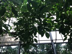 -常州花鸟园酒店(西太湖品牌优选店)