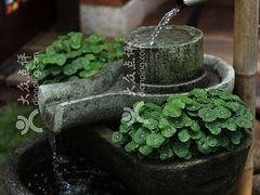 景观位-弄堂里· 江南名肴(西湖龙井路店)