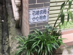 -小洲村