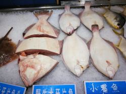 -双井轩·宴会厅