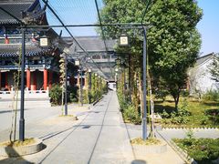 -葛仙湖公园