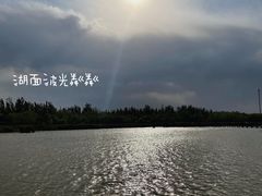 -西青郊野公园