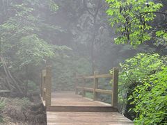 -本溪汤沟绿石谷森林公园