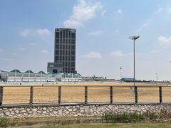 -鹦鹉洲湿地公园