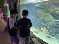 -泉城欧乐堡海洋极地世界