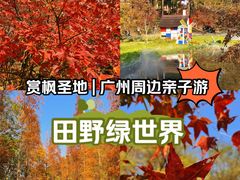 -田野绿世界