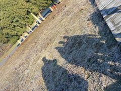 -武陵山森林公园