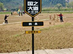 -靖西鹅泉风景区