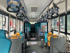 -帕帕拉兹宠物(亚洲旗舰店)