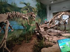-自贡恐龙博物馆