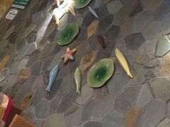 -春润大地海南椰子鸡(沙井京基百纳广场店)