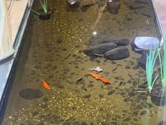 -邈墨茶馆(凤起路店)