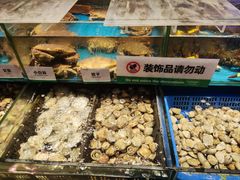-亚马逊海鲜自助(王府井店)