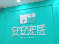 -安安宠医宠物医院·异宠·犬猫内科(岳阳分院)