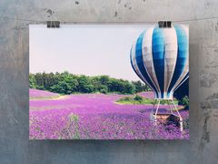 -大塘金香草谷
