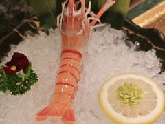 -牛New寿喜烧(金鹰世界店)