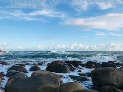 -广东惠东海龟国家级自然保护区