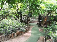 -呀路古热带植物园