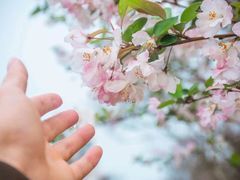 -武汉紫薇都市田园