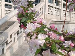 -元大都城垣遗址公园