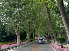 -棒棰岛宾馆景区