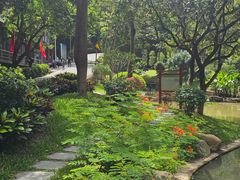 -火炉山森林公园