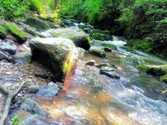 -香炉山国家森林公园